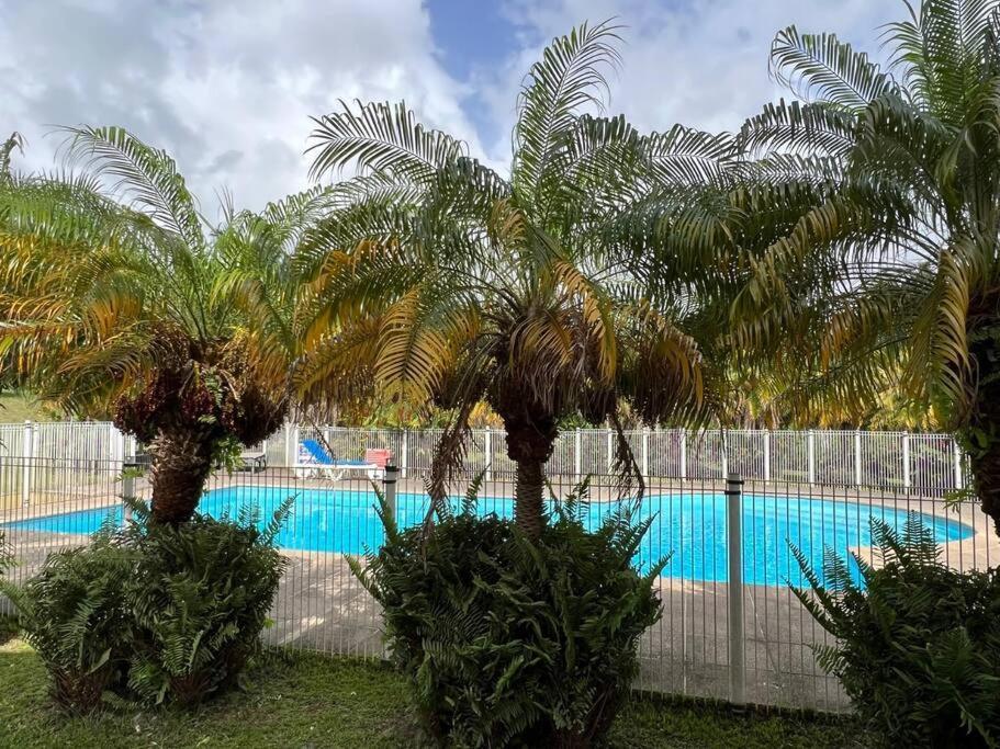 Kanoa Lodge Piscine Et Vue Mer Saint-Claude Exteriör bild